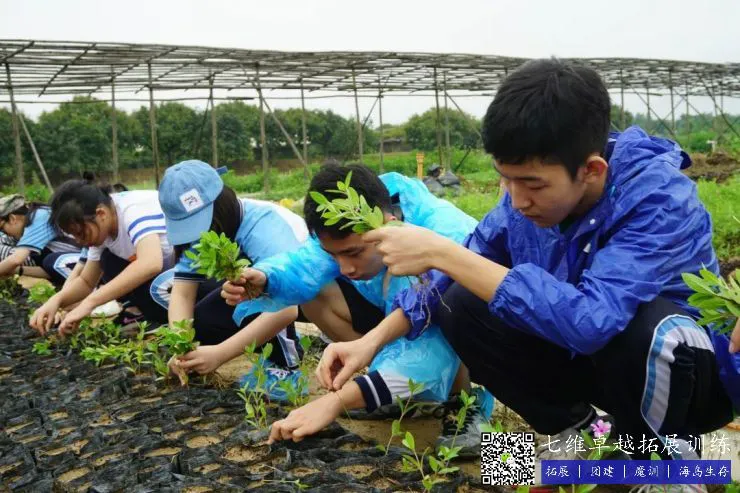 篮球运球训练计划表_2